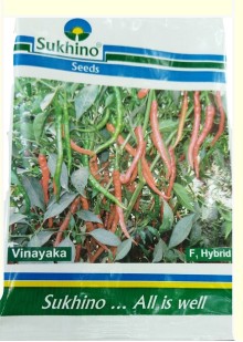 Vinayaka Chilli